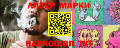 прущие грибы Кандалакша