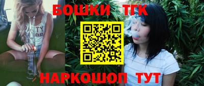 прущие грибы Кандалакша