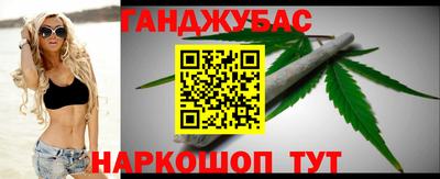прущие грибы Кандалакша