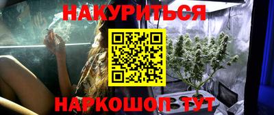 прущие грибы Кандалакша