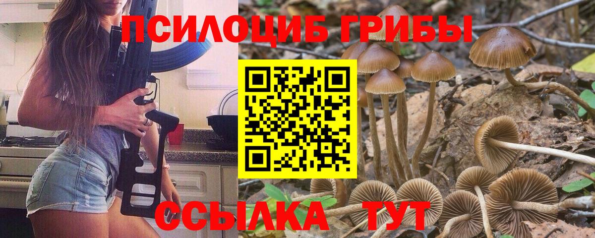 Галлюциногенные грибы GOLDEN TEACHER  что такое   Хасавюрт  Галлюциногенные грибы GOLDEN TEACHER  Вход с VPN 