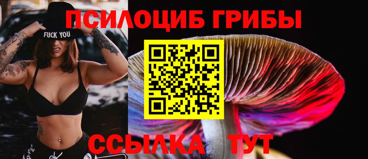 Псилоцибиновые грибы Magic Shrooms Хасавюрт