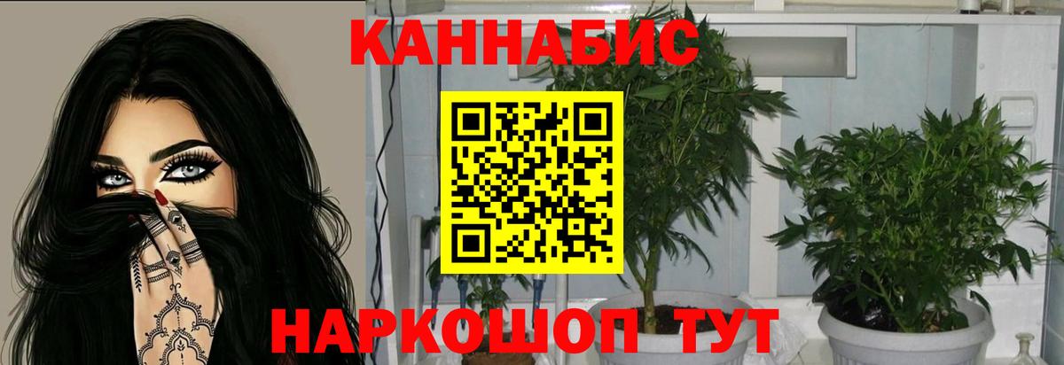 Шишки марихуана план  Конопля семена  Хасавюрт  Вход с VPN 